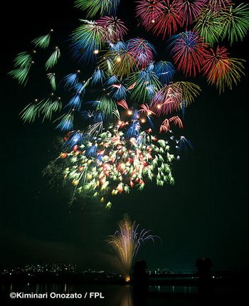 floral shell of shells_starmine